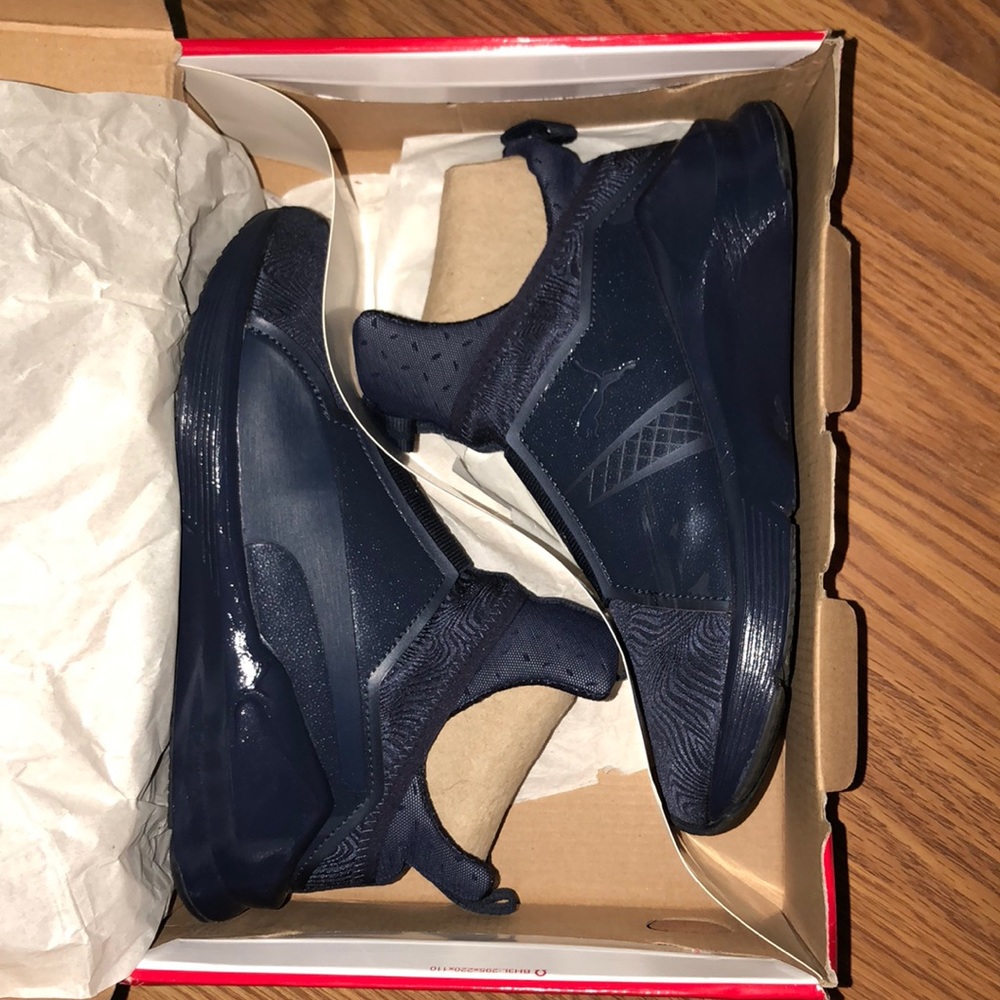 Blue Pumas